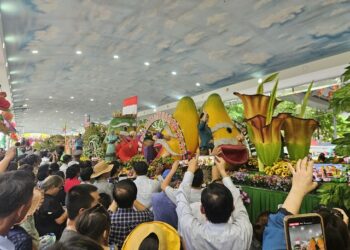 Rủ nhau đi