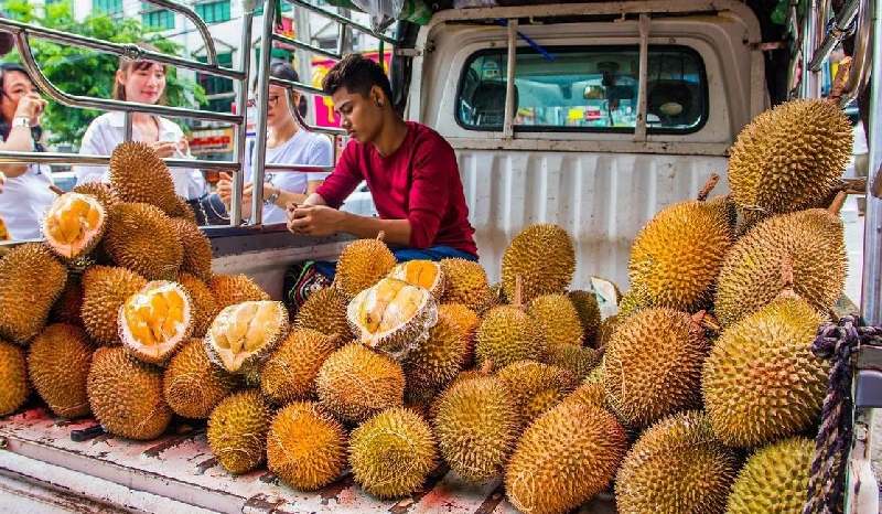 Malaysia xuất khẩu sầu riêng tươi sang Trung Quốc, Việt Nam có mất thị phần?